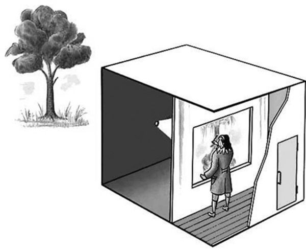 Image rectangle 600 x