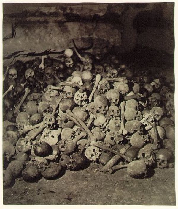 Image rectangle 600 x