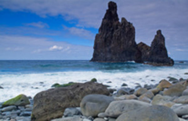 Image rectangle 600 x