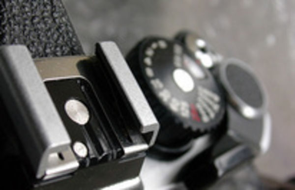 Image rectangle 600 x