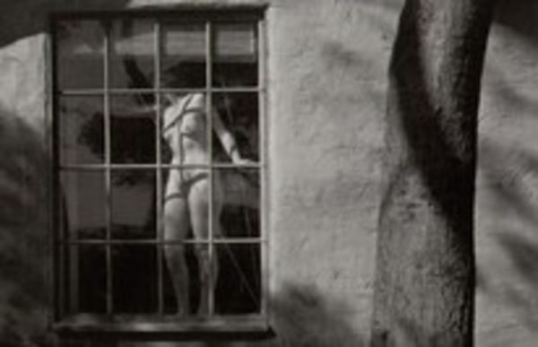 Image rectangle 600 x