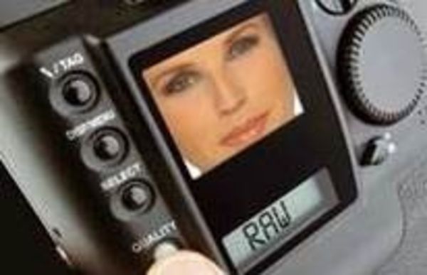 Image rectangle 600 x