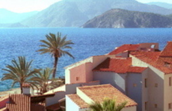 Image rectangle 600 x