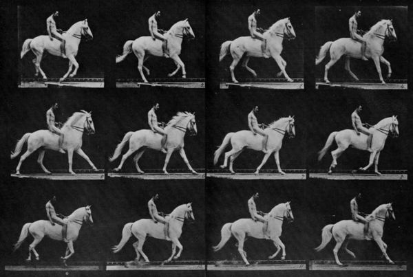 Image rectangle 600 x