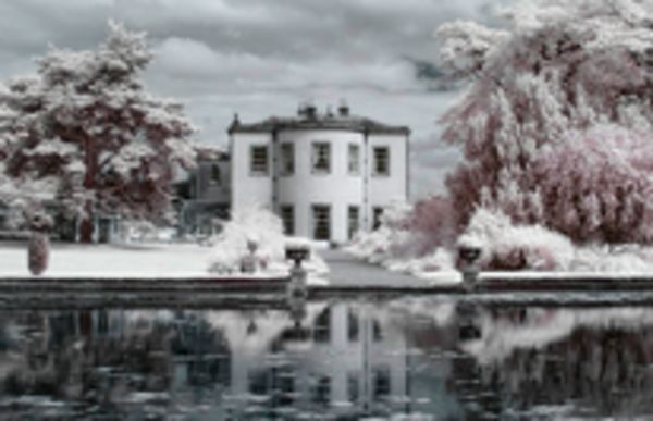 Image rectangle 600 x