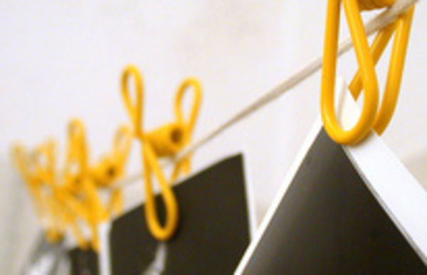 Image rectangle 600 x