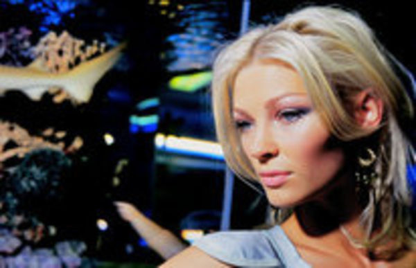 Image rectangle 600 x