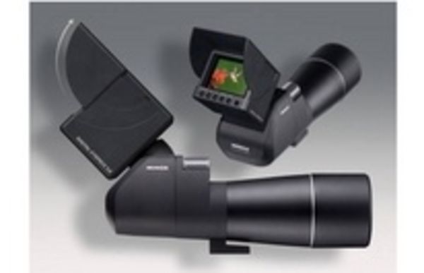 Image rectangle 600 x