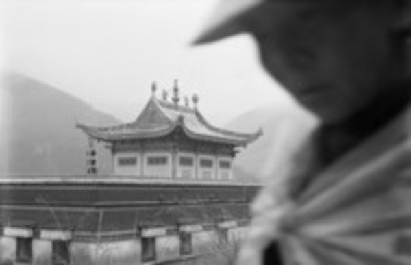 Image rectangle 600 x