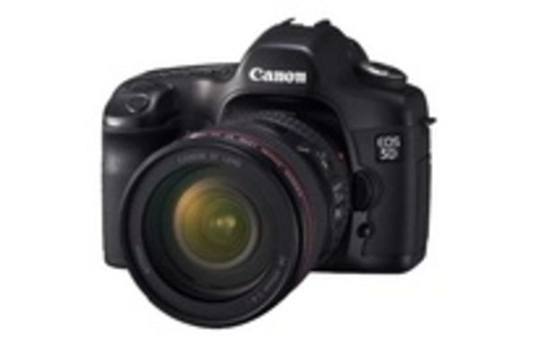 Image rectangle 600 x