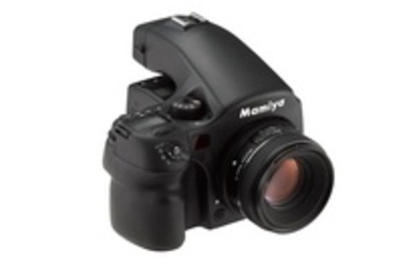 Image rectangle 600 x