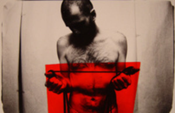 Image rectangle 600 x