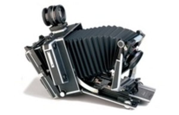 Image rectangle 600 x