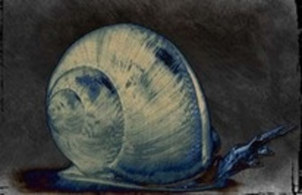 Image rectangle 600 x