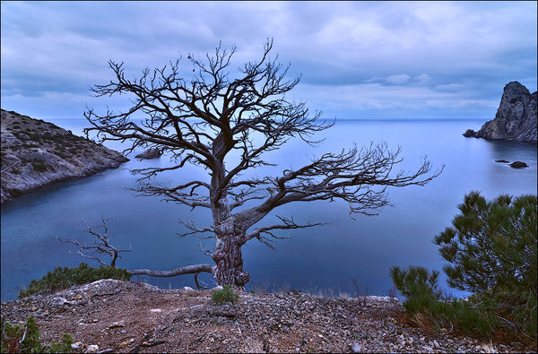 Image rectangle 600 x