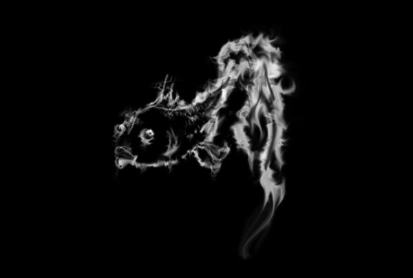 Image rectangle 600 x