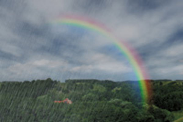 Image rectangle 600 x