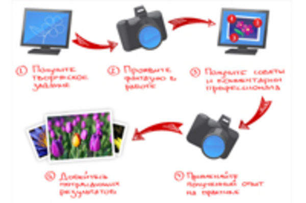 Image rectangle 600 x