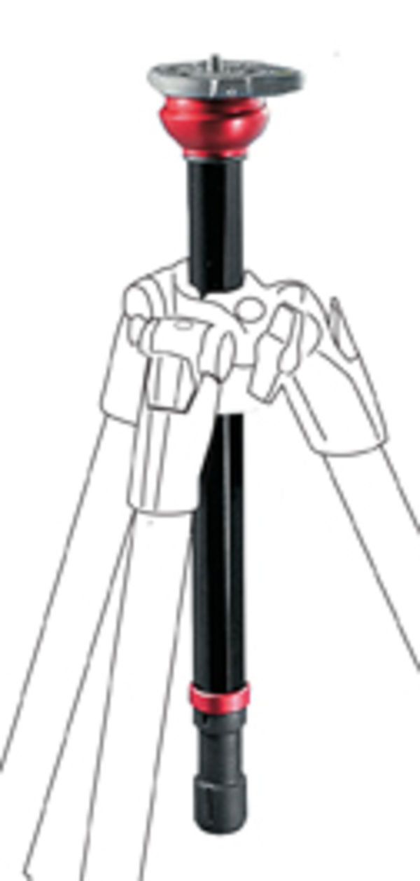 Image rectangle 600 x