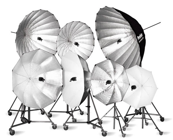 Image rectangle 600 x