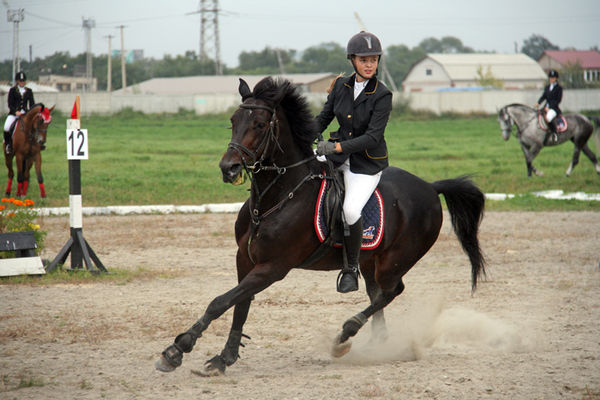 Image rectangle 600 x