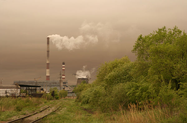 Image rectangle 600 x