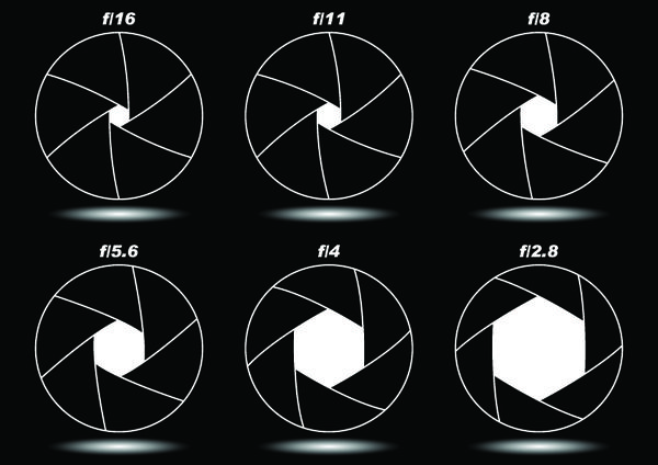 Image rectangle 600 x
