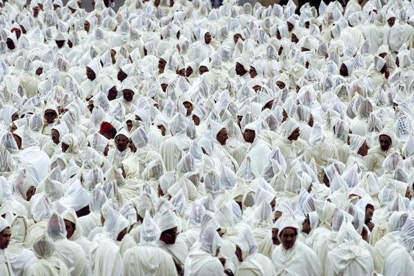 Image rectangle 600 x