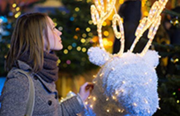 Image rectangle 600 x