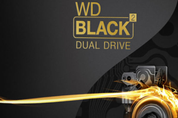 Image rectangle 600 x