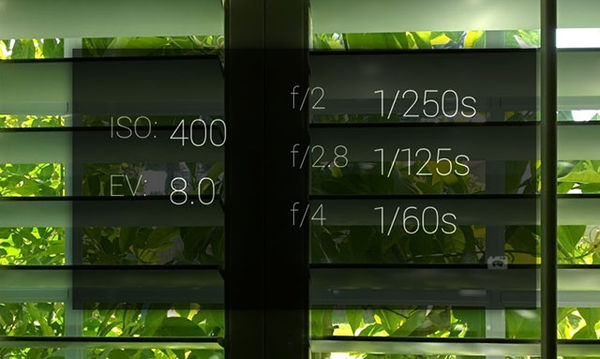 Image rectangle 600 x