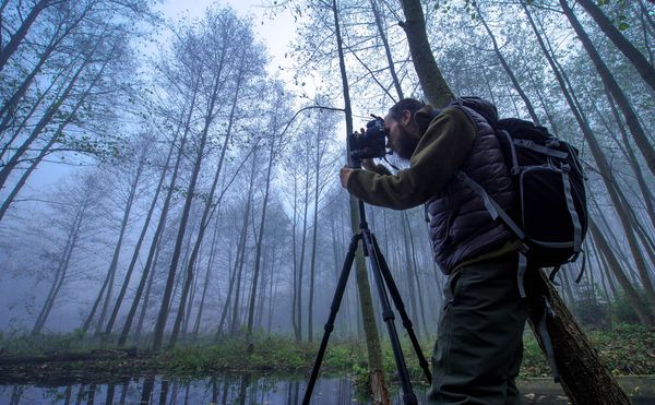 Image rectangle 600 x