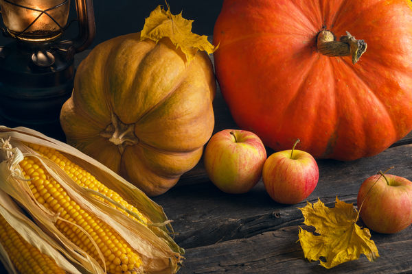 Image rectangle 600 x