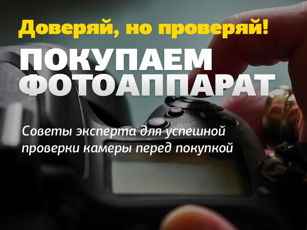 Image rectangle 600 x