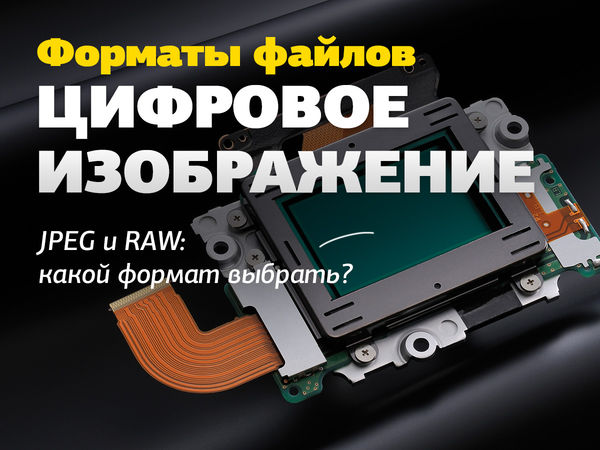 Image rectangle 600 x