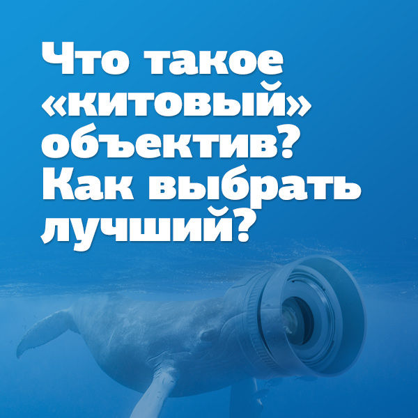 Image rectangle 600 x