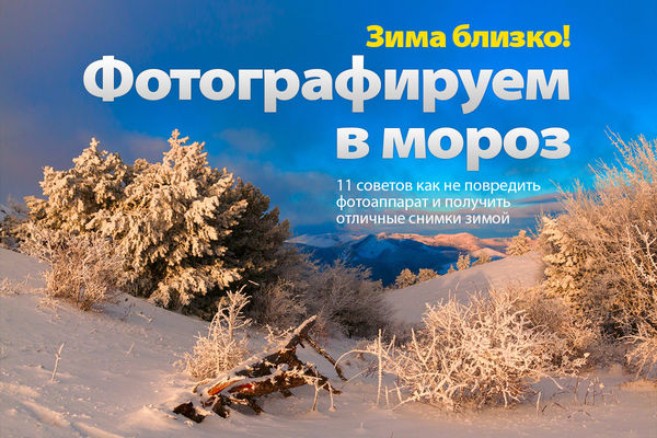 Image rectangle 600 x