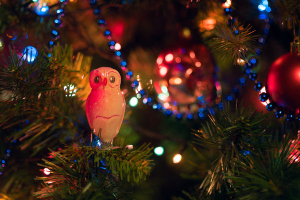 Image rectangle 600 x