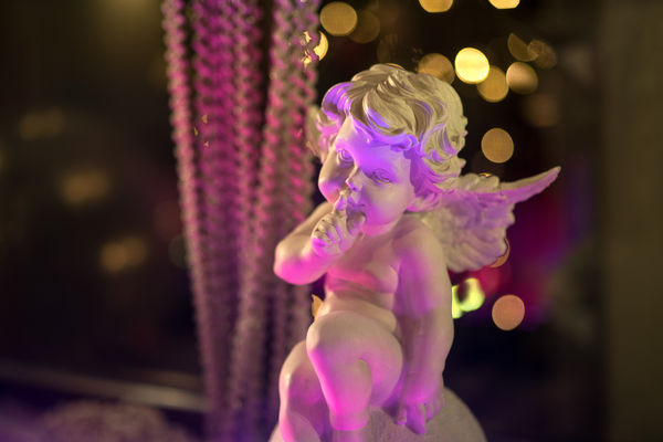 Image rectangle 600 x