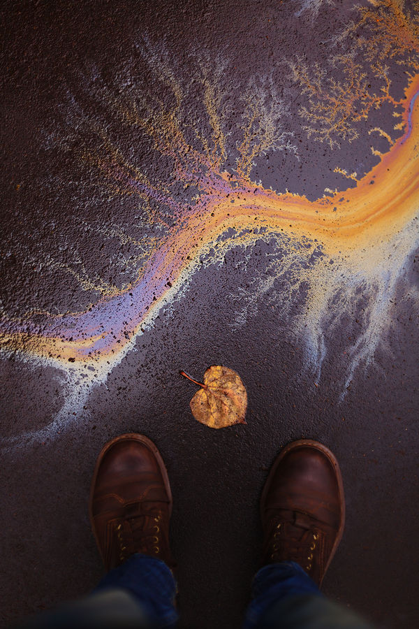 Image rectangle 600 x