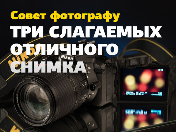 Image rectangle 600 x