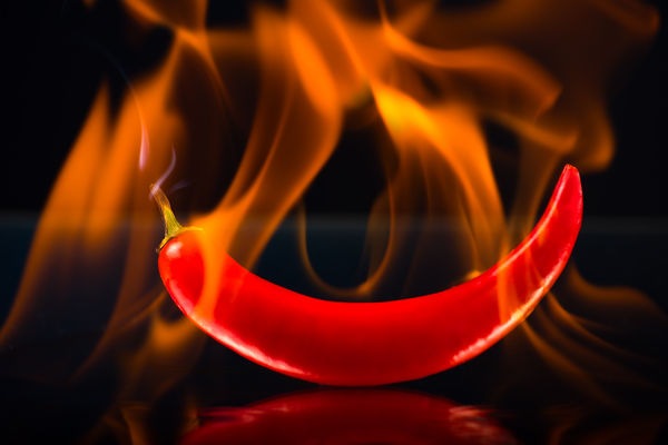 Image rectangle 600 x