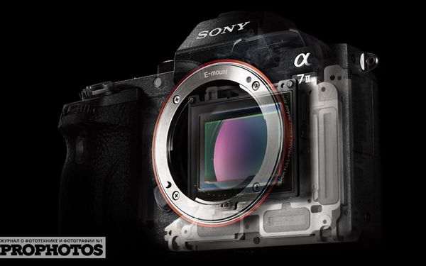 Image rectangle 600 x