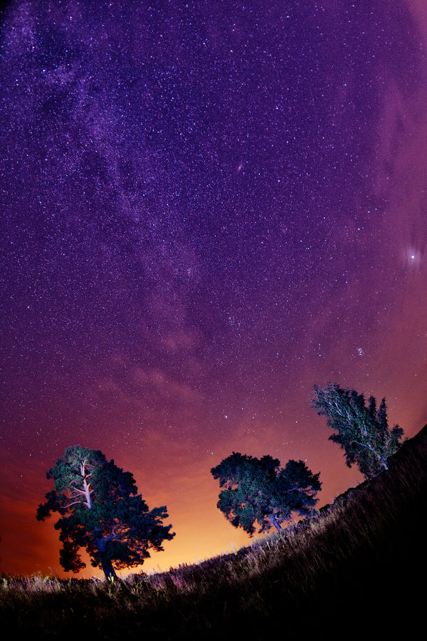 Image rectangle 600 x