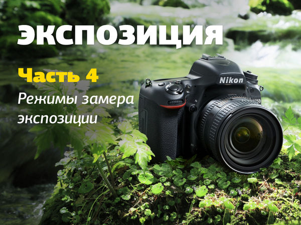 Image rectangle 600 x