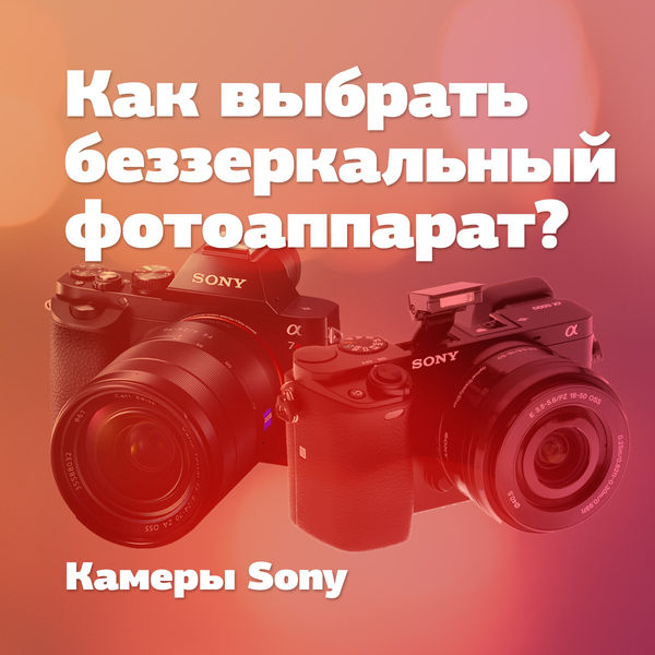 Image rectangle 600 x