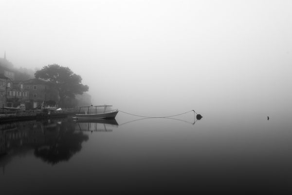 Image rectangle 600 x