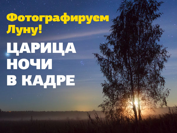 Image rectangle 600 x