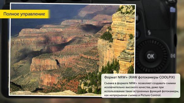 Image rectangle 600 x