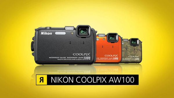 Image rectangle 600 x